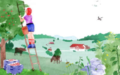 Protéger le paysage, préserver nos sols