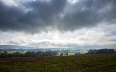 LAT2: Une révision qui s’est fait attendre