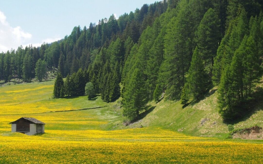 Désormais, c’est au Parlement de faire son travail!