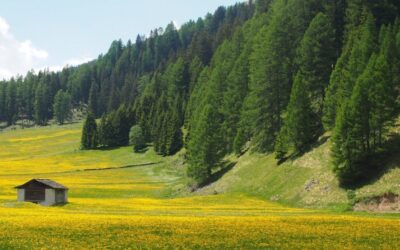 Désormais, c’est au Parlement de faire son travail!