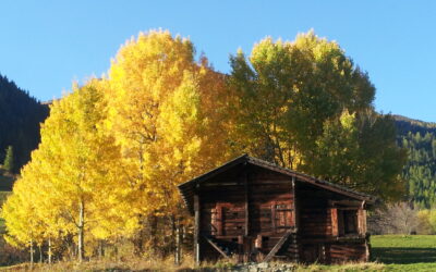 Encore quelques améliorations pour la protection du paysage ?