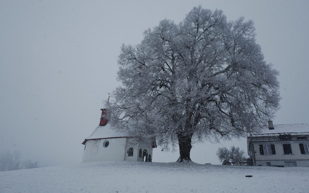 L’Initiative paysage a été officiellement refusée au Conseil national