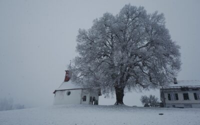 L’Initiative paysage a été officiellement refusée au Conseil national