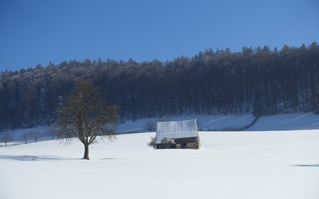 Retrait formel et poursuite active du travail