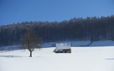 Retrait formel et poursuite active du travail