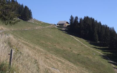 Constructions à l’extérieur des zones à bâtir : il faut une mise en exécution stricte des objectifs de stabilisation